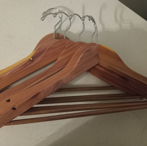 Curvy and FABulous POSH Party today! - Picture 15 of 16